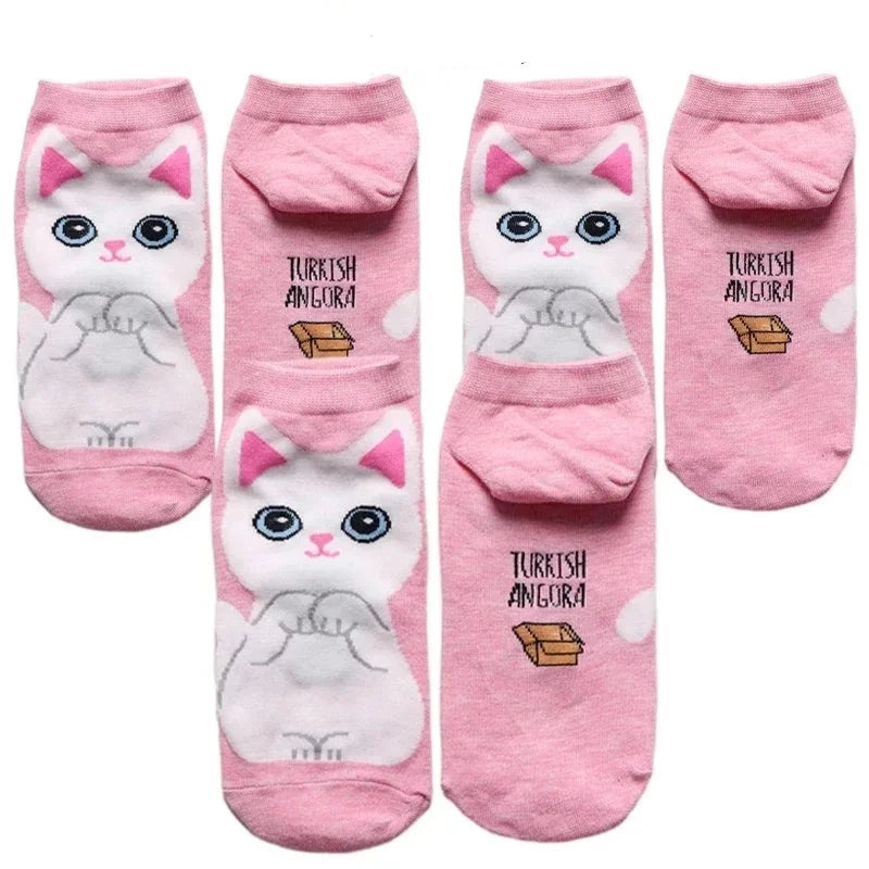 donnafashion.co - אופנת נשים - גרביים לנשים - סט גרביים חתולים