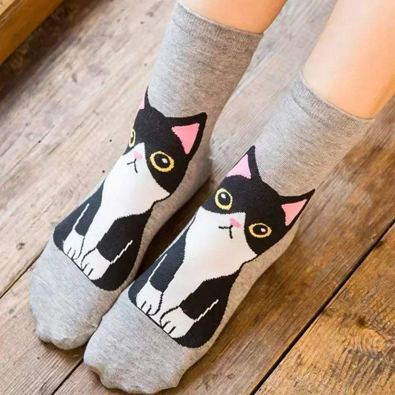 donnafashion.co - אופנת נשים - גרביים לנשים - סט גרביים חתולים