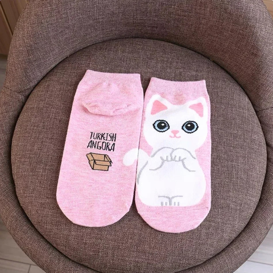 donnafashion.co - אופנת נשים - גרביים לנשים - סט גרביים חתולים