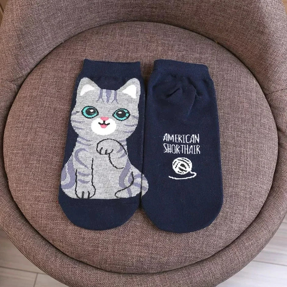 donnafashion.co - אופנת נשים - גרביים לנשים - סט גרביים חתולים