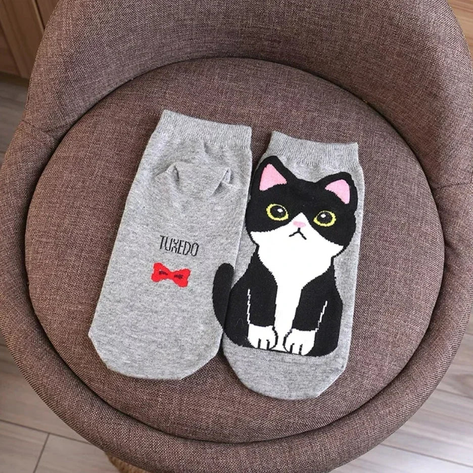 donnafashion.co - אופנת נשים - גרביים לנשים - סט גרביים חתולים