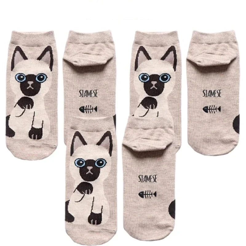 donnafashion.co - אופנת נשים - גרביים לנשים - סט גרביים חתולים