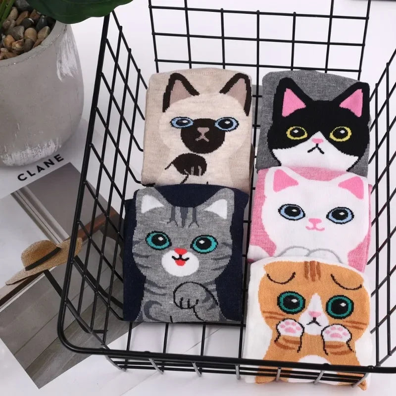 donnafashion.co - אופנת נשים - גרביים לנשים - סט גרביים חתולים