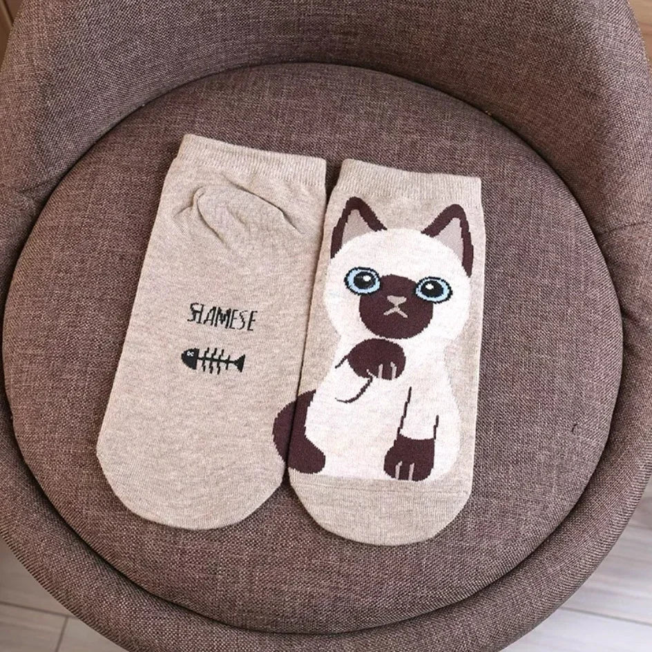 donnafashion.co - אופנת נשים - גרביים לנשים - סט גרביים חתולים