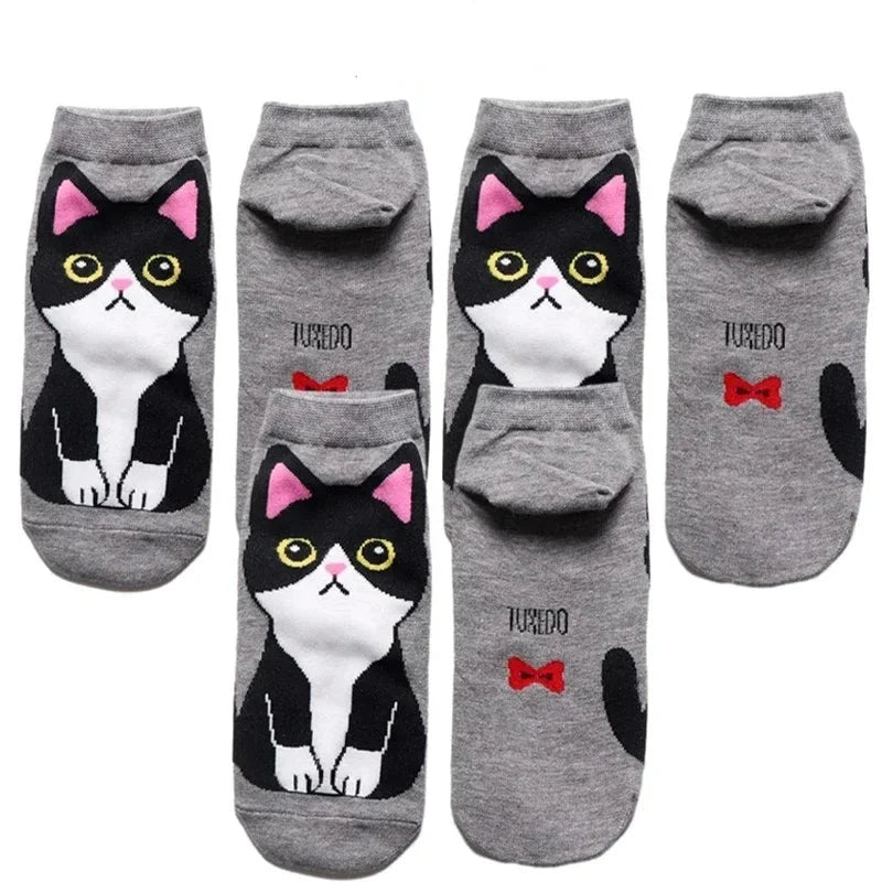 donnafashion.co - אופנת נשים - גרביים לנשים - סט גרביים חתולים