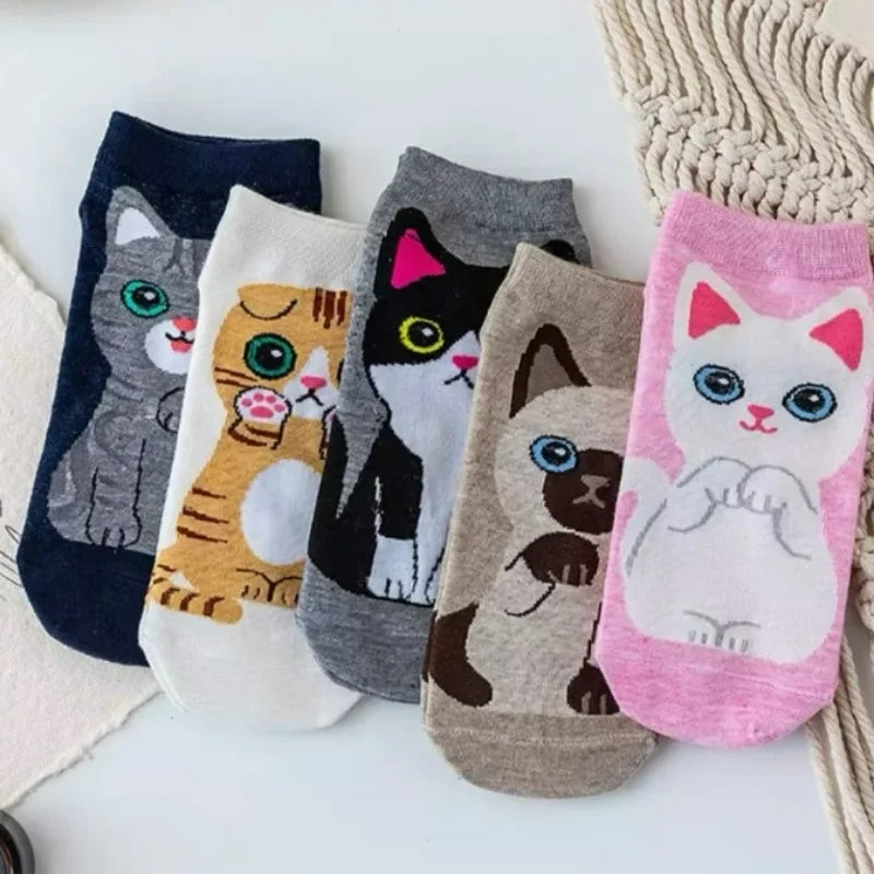 donnafashion.co - אופנת נשים - גרביים לנשים - סט גרביים חתולים