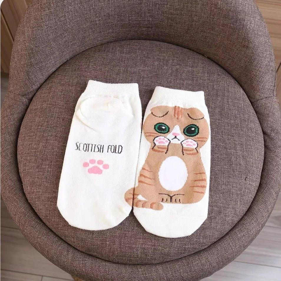 donnafashion.co - אופנת נשים - גרביים לנשים - סט גרביים חתולים