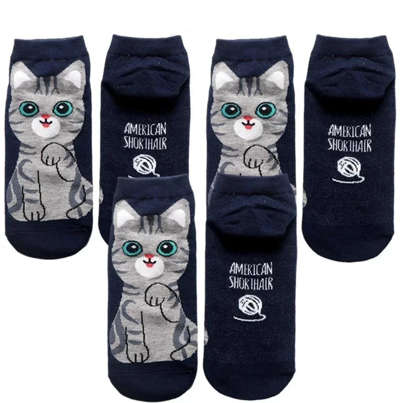 donnafashion.co - אופנת נשים - גרביים לנשים - סט גרביים חתולים