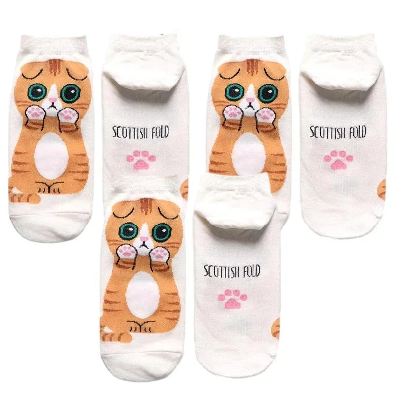 donnafashion.co - אופנת נשים - גרביים לנשים - סט גרביים חתולים